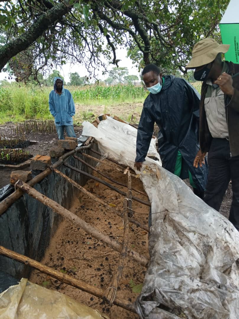 FRC team member lifting plastic sheeting off the bamboo propagation sand bed at Barwick G Farm, revealing sandy rooting medium and wooden frame structure