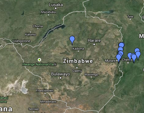 Google satellite map of Zimbabwe showing bamboo survey location pins concentrated around Mutare, Chimanimani and the Honde Valley, with one marker near Kadoma